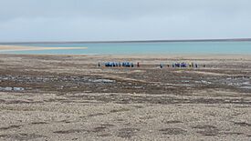 Tourists explore Jenny Lind Island, 2019.jpg