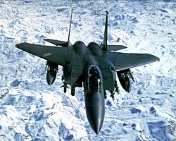 Archivo:USAF F-15E Strike Eagle Iraq 1999
