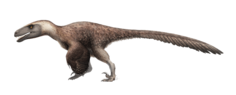 Archivo:Utahraptor Restoration