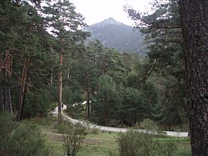 Archivo:Valle de la Fuenfría01
