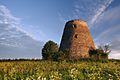 Windmill Ervita in Estonia
