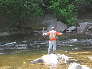 Archivo:Worlds End State Park Angler