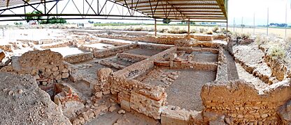 Yacimiento LosTorrejones