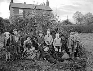Archivo:(Guy Fawkes night at Chirk) (6302836170)