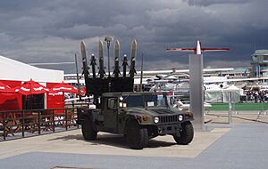 Archivo:AIM-120 AMRAAM P6230147