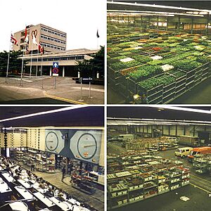 Archivo:Aalsmeer Flower Auction