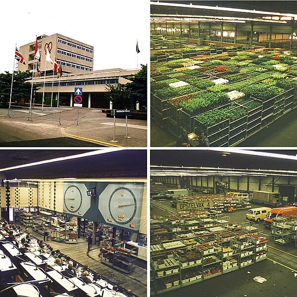 Aalsmeer Flower Auction