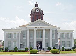 Appling County Courthouse, Baxley, GA, US.jpg