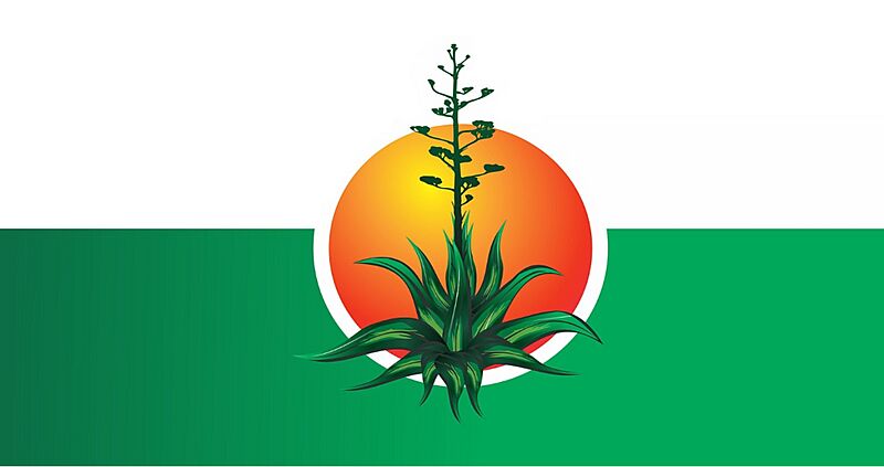 BANDERA DE PITAL 1