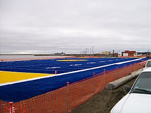 Archivo:Barrow-Whalers-turf-field