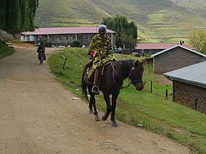 Archivo:Basotho blanket lesotho