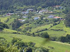 Bermeo arana auzoa.jpg