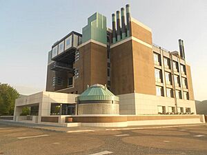 Archivo:Biblioteca Scientifica Unisa