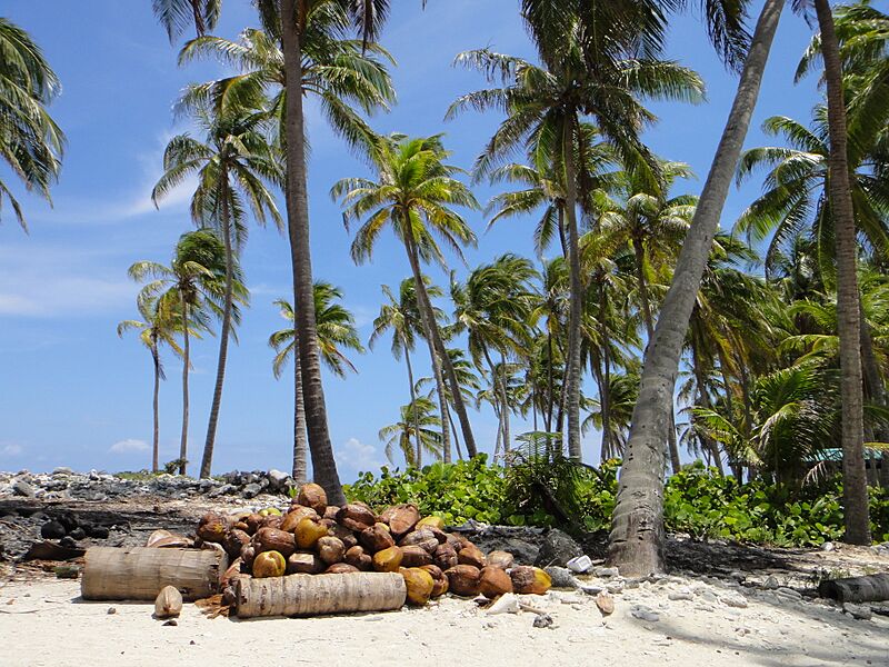 Booby Island (4906555482)