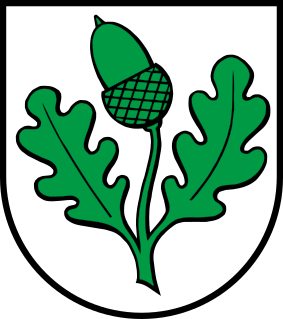CHE Würenlingen COA