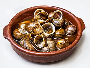 Archivo:Caracoles-del-restaurante-granero