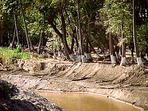 Archivo:Catia La Mar diciembre 2000 010