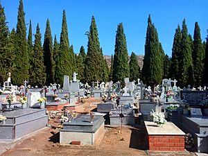 Archivo:Cementerio de Puertollano