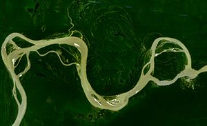 Archivo:Central Amazon River