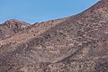 Cerros Pintados, Pampa del Tamarugal, Chile, 2016-02-11, DD 121