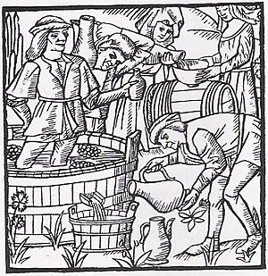 Archivo:Chaulage du vin