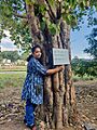Chipko Andolan 4