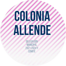 Archivo:Colonia Allende 2021-2024