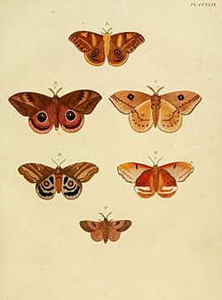 CramerAndStoll-uitlandsche kapellen vol. 3- pl 249.jpg