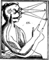 Descartes diagram