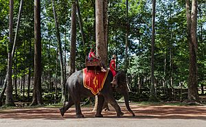 Archivo:Elefante, Angkor Thom, Camboya, 2013-08-16, DD 01