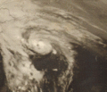 Evelyn 1977-10-15 0001Z.gif