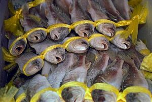 Archivo:FishAtSupermarket