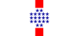 Flag of Central Department, Paraguay