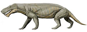 Archivo:Gorgonops whaitsii1