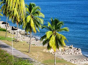 Archivo:Great hurricane of 1780 Sint Eustatius