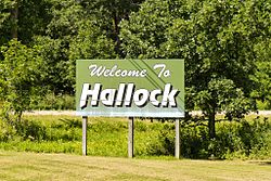 Hallock Minnesota welcome sign 8-14-2013.jpg