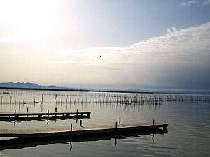 Archivo:L'albufera de valència