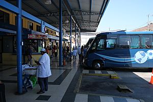Archivo:La Ligua autobuses