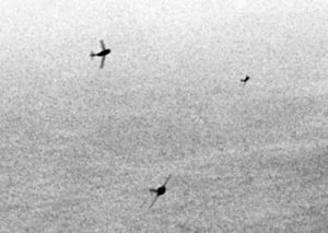 Archivo:MiG-15s curving to attack B-29s over Korea c1951