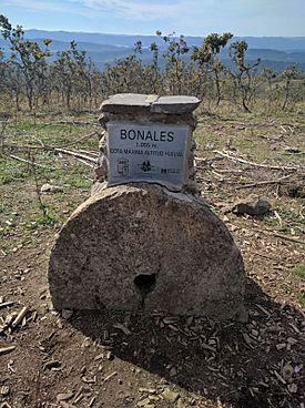 Monolito en la cima del Monte Bonales.jpg