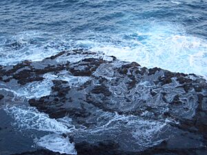 Archivo:Pantaipulauphillip