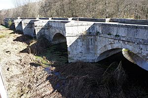 Archivo:Puente Viejo de Saldaña sobre el río Carrión (1)