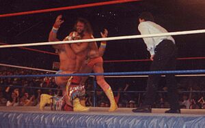 Archivo:Randy Savage vs Ultimate Warrior