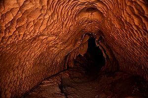 Archivo:River Cave, Madagascar (20487132313)