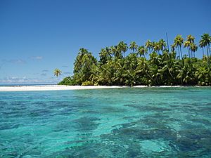 Archivo:Salomons Atoll in the Chagos