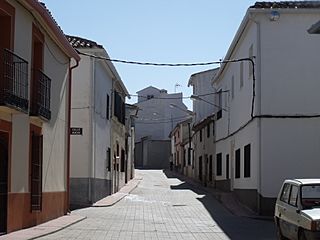 Sta Cruz Cáñamos d.jpg