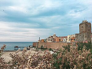 Archivo:Termoli2019