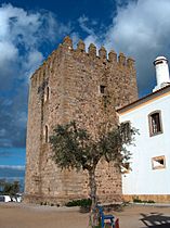 Torre de Coelheiros Torre Medieval de Coguminhos 01