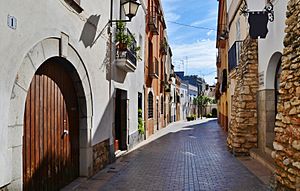 Archivo:Una de las calles del casco histórico de Vilanova