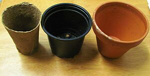 Archivo:Wikibooks planting-pots